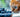 An image of a cat looking at a tub of blueberries with Feline Fancy Logo.