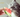 Cat eating watermelon with feline fancy logo.
