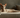 Oriental Short Hair Laying Down with Feline Fancy logo.