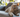 British Shorthair Kitten with Paw in air.