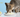 Cat eating eggs with Feline Fancy Logo.