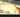 Cats go without food with Feline Fancy Logo