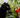 Cat with Tomato & Feline Fancy Logo.