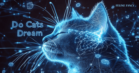 illustration showing cat brain activity during sleep