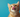 Cat sticking tongue out with Feline Fancy Logo.