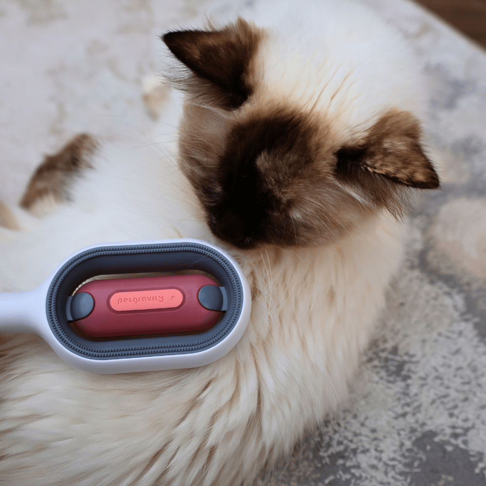 Pet Hair Removal Comb
