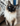 Ragdoll Cat Patrick Swayze