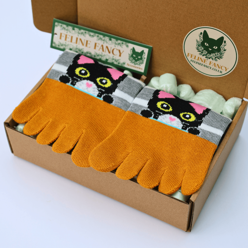 Felix Cat Socks