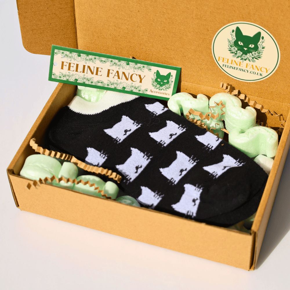 Black Cat Socks