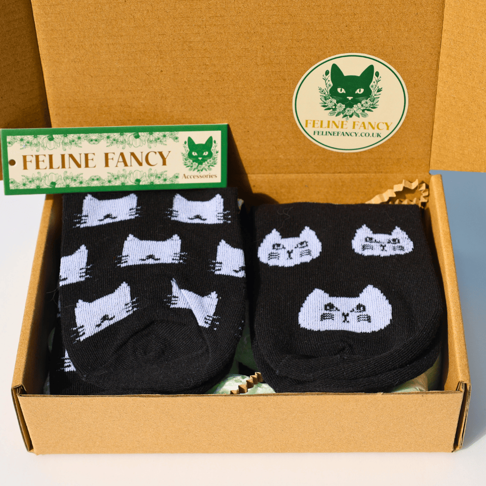 Black Cat Socks