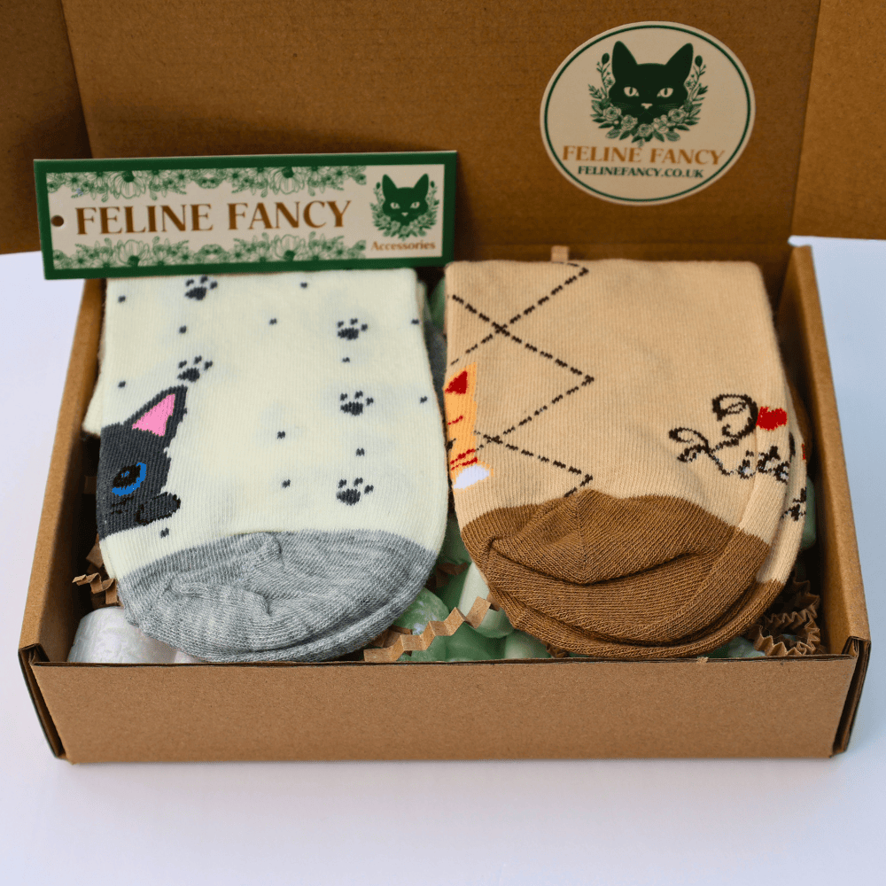 Kitten Ankle Sock Set