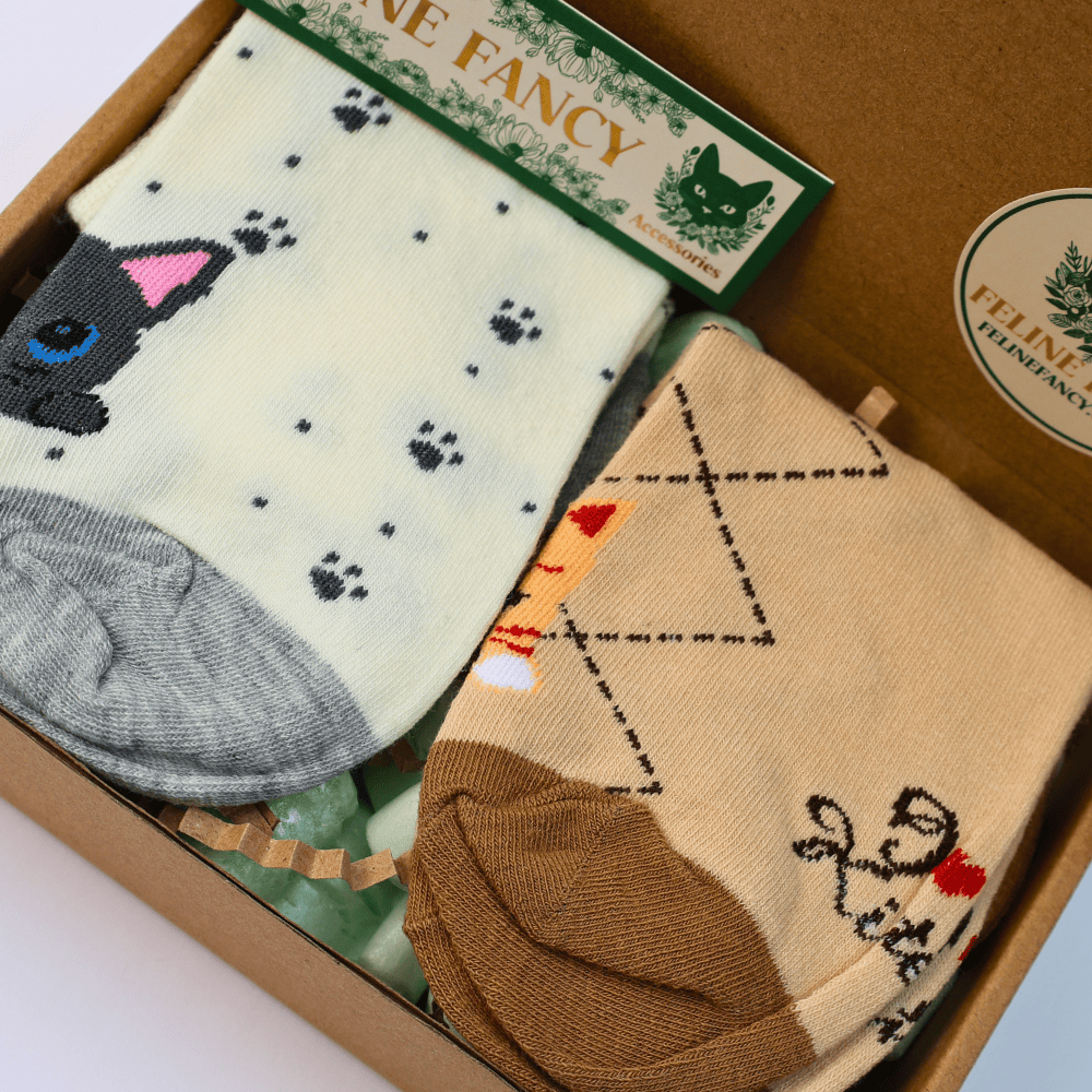 Kitten Ankle Sock Set