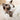 Cat Ball Toy featuring a lightweight, bouncy design that encourages your cat to chase, bat, and pounce