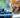 An image of a cat looking at a tub of blueberries with Feline Fancy Logo.