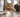 Energetic Cat Mid Sprint Indoors.