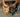 Cats in Bath with Feline Fancy Logo.