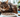 Cat with Kidney Disease with Feline Fancy Logo