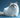 Birman Cat playing with owner.