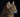 Pixiebob cat with feline fancy logo.