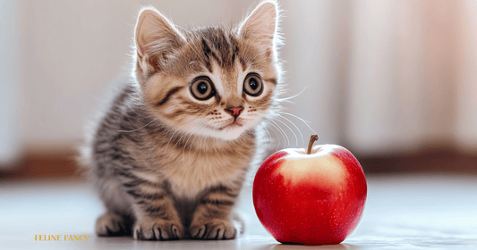 A playful, happy cat with wide, curious eyes sitting next to a shiny red apple.