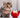 A playful, happy cat with wide, curious eyes sitting next to a shiny red apple.