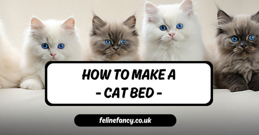 how to make a cat bed sign with cute ragdoll cats above