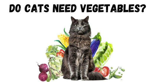 Do Cats Need Vegetables Logo