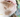 Cat Acne with Feline Fancy Logo.