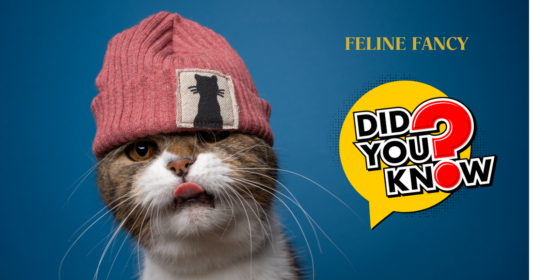 Did you know, Fun Facts about cats.