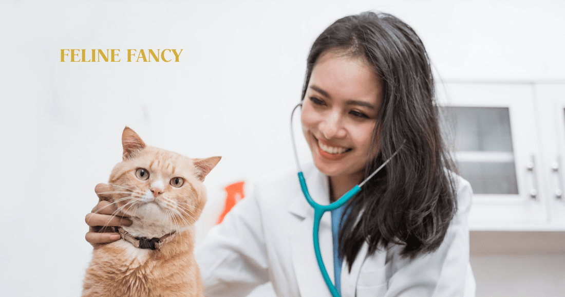 Cat being checked for worms with Feline Fancy Logo.