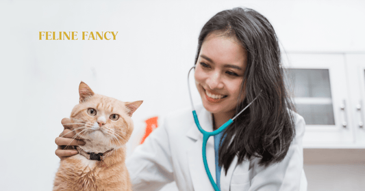 Cat being checked for worms with Feline Fancy Logo.