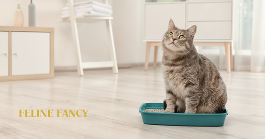 Cat using litter tray with Feline Fancy Logo.