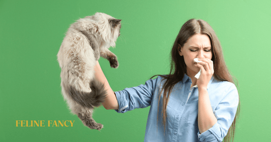 Cat Allergies with Feline Fancy Logo.