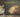 Thin cat & Fat Cat with Feline Fancy Logo.