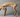 Underweight Cat with Feline Fancy Logo.