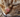 Lump on Cat with Feline Fancy Logo.