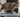 Cerebellar Hypoplasia with Feline Fancy Logo.