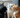 Cats Fighting with Feline Fancy Logo.