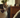 Cat Meow with Feline Fancy Logo.