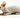 Sphynx Cat with Feline Fancy Logo