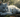 Tiffanie Cat with Feline Fancy Logo.
