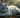 Tiffanie Cat with Feline Fancy Logo.