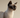Tonkinese Cat with Feline Fancy Logo