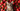 Cats and Strawberries with Feline Fancy Logo