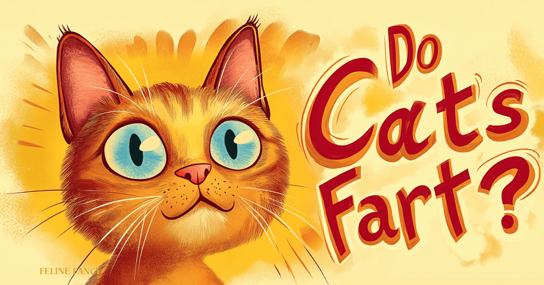 Do Cats Fart with Feline Fancy logo.