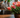 Cat with Tulips with Feline Fancy Logo.