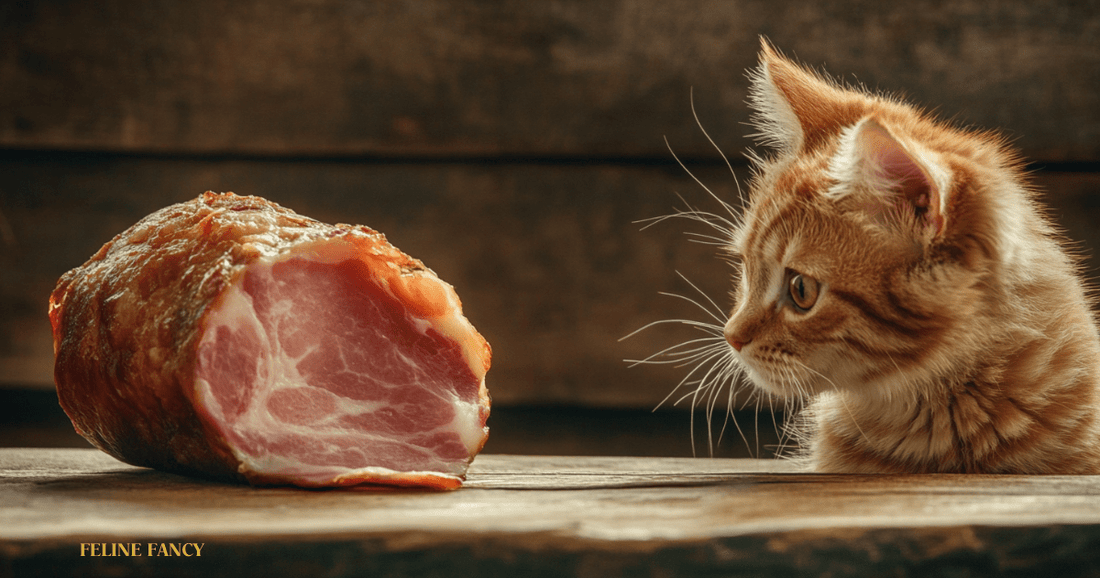 Can Looking at Ham Joint, with Feline Fancy Logo