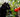 Cat with Tomato & Feline Fancy Logo.