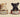 Can Cats Eat Dog Food with Feline Fancy Logo.