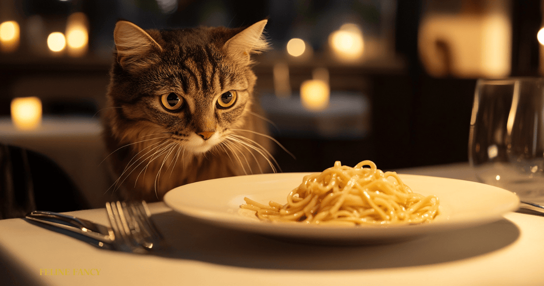 An elegant cat sniffing a plate of pasta 